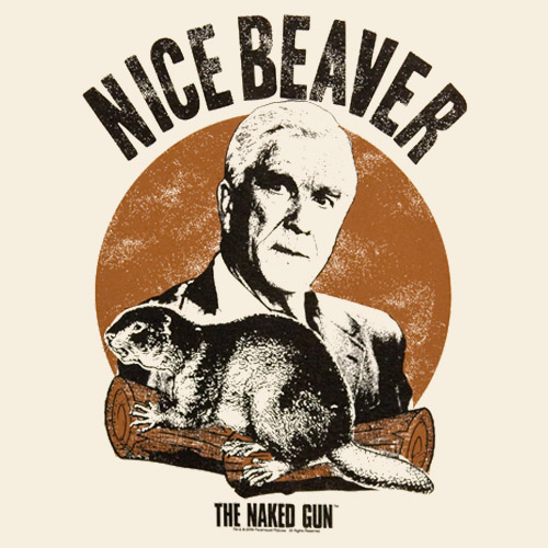 nice-beaver