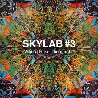 Skylab #3