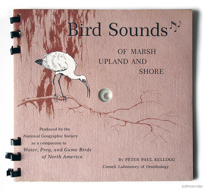 Flex4_BirdSounds_book cover
