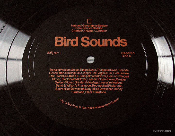 Flex4_BirdSounds_label