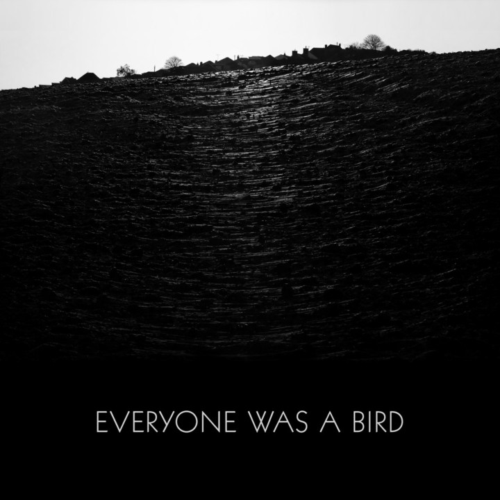 everyone-was-a-birdweb