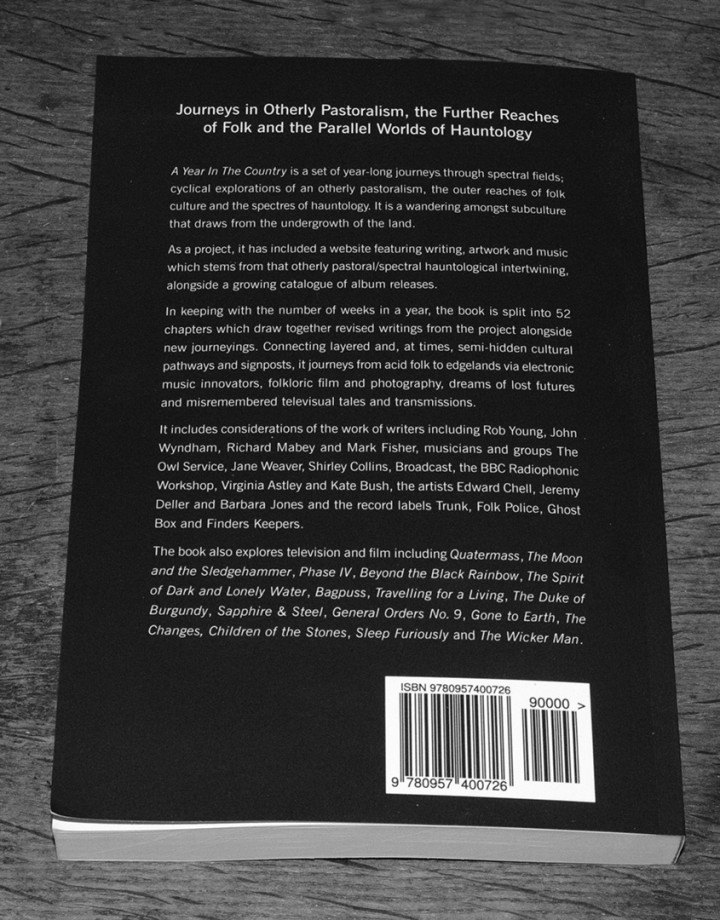 A-Year-In-The-Country-Wandering-Through-Spectral-Fields-book-Stephen-Prince-back-cover-published-version