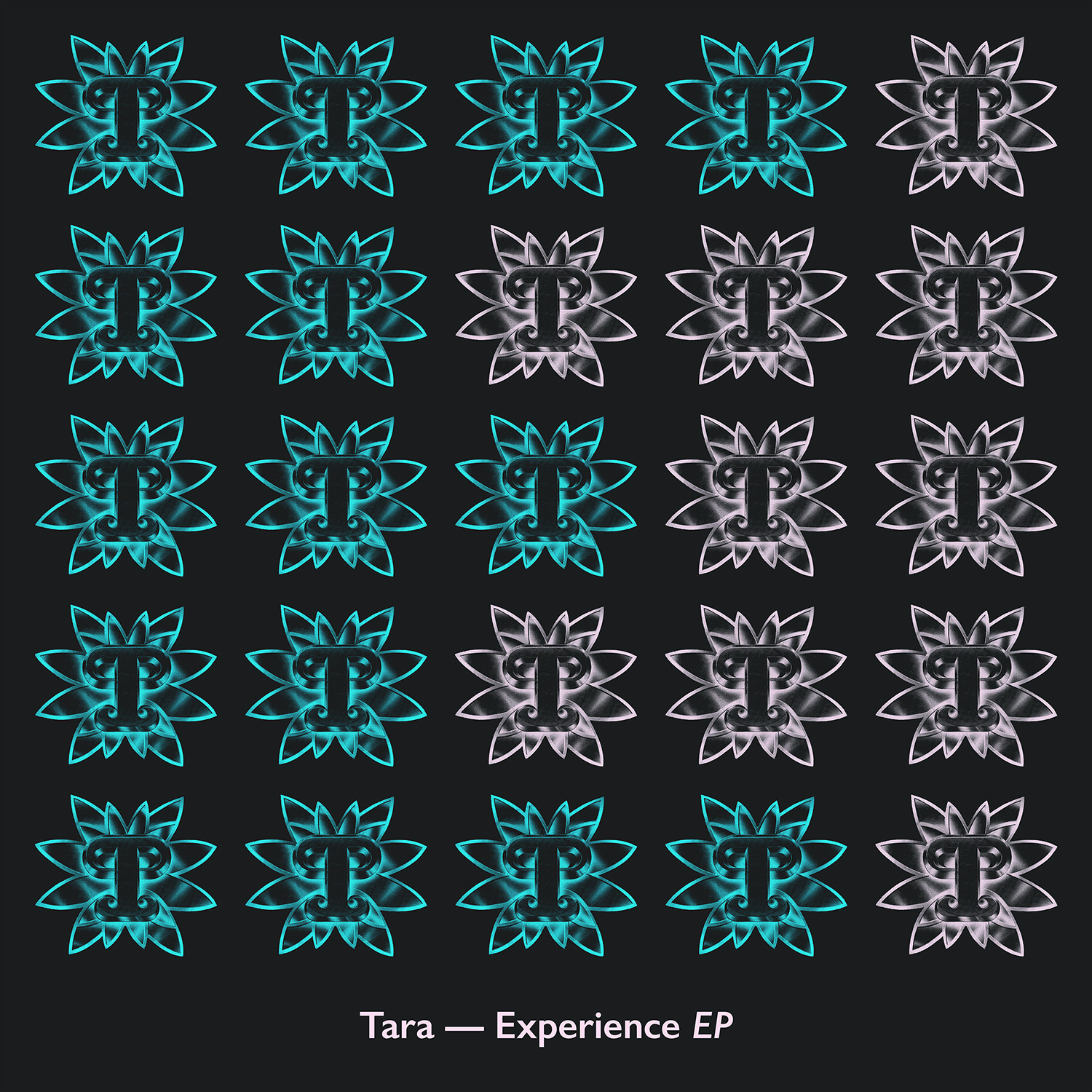 Tara - experience