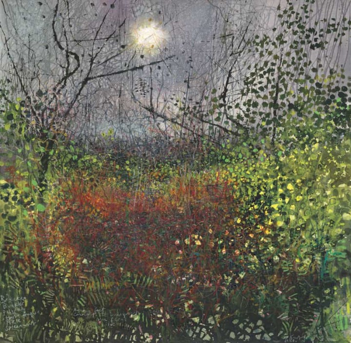 cornwall-museum-and-art-gallery-kurt-jackson-biodiversity-52