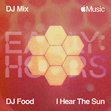 DJ Food I hear the sun cover image of hexagons